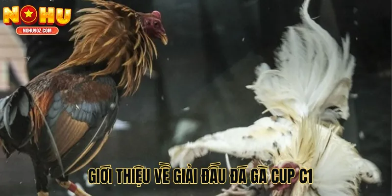 Giới thiệu về giải đấu đá gà cup C1