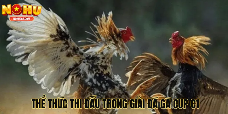 Thể thức thi đấu trong giải đá gà cup C1