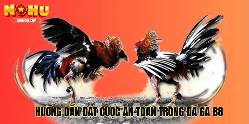 Hướng dẫn đặt cược an toàn trong đá gà 88